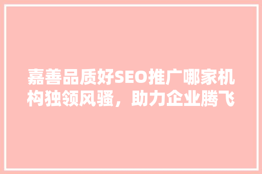 嘉善品质好SEO推广哪家机构独领风骚，助力企业腾飞