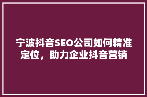 宁波抖音SEO公司如何精准定位，助力企业抖音营销