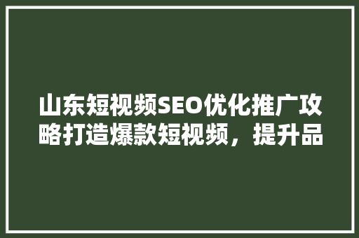 山东短视频SEO优化推广攻略打造爆款短视频，提升品牌影响力  第1张