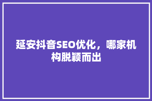 延安抖音SEO优化，哪家机构脱颖而出