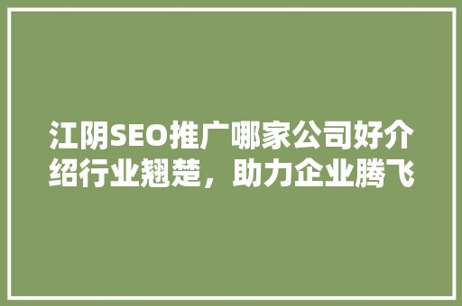 江阴SEO推广哪家公司好介绍行业翘楚，助力企业腾飞  第1张