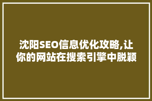 沈阳SEO信息优化攻略,让你的网站在搜索引擎中脱颖而出
