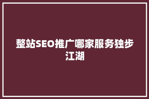 整站SEO推广哪家服务独步江湖