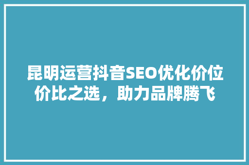 昆明运营抖音SEO优化价位价比之选，助力品牌腾飞