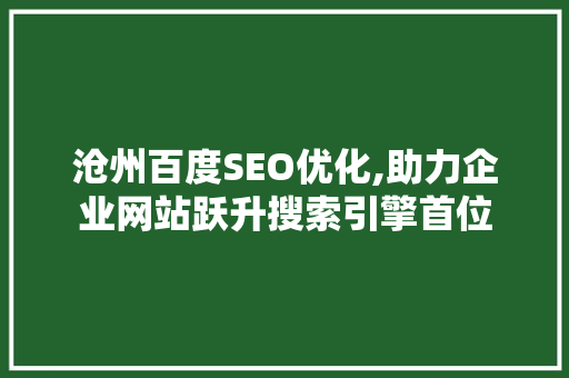 沧州百度SEO优化,助力企业网站跃升搜索引擎首位
