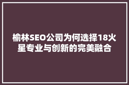 榆林SEO公司为何选择18火星专业与创新的完美融合