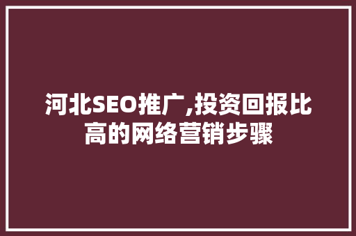 河北SEO推广,投资回报比高的网络营销步骤