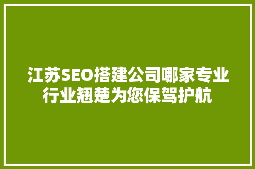 江苏SEO搭建公司哪家专业行业翘楚为您保驾护航