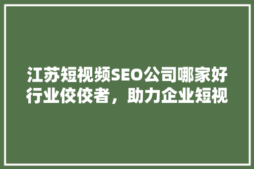 江苏短视频SEO公司哪家好行业佼佼者，助力企业短视频营销