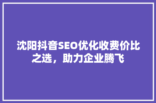 沈阳抖音SEO优化收费价比之选，助力企业腾飞