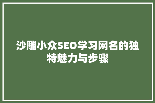 沙雕小众SEO学习网名的独特魅力与步骤