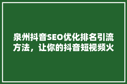 泉州抖音SEO优化排名引流方法，让你的抖音短视频火遍全网