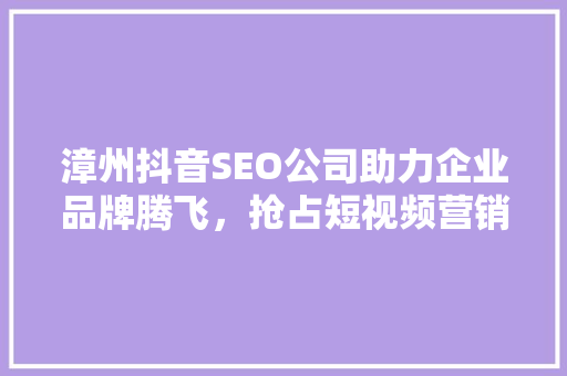 漳州抖音SEO公司助力企业品牌腾飞，抢占短视频营销新高地