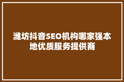 潍坊抖音SEO机构哪家强本地优质服务提供商