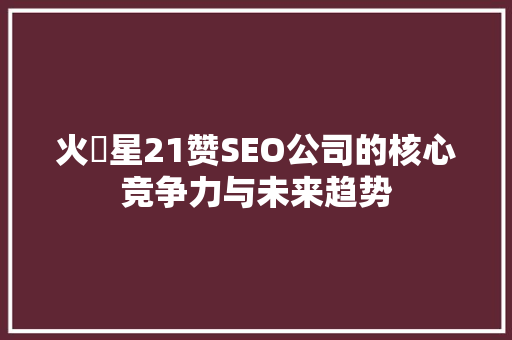 火乚星21赞SEO公司的核心竞争力与未来趋势