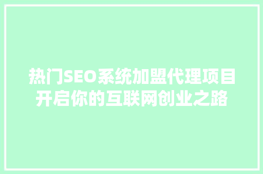 热门SEO系统加盟代理项目开启你的互联网创业之路