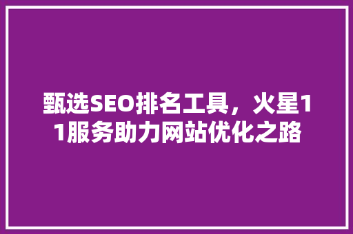 甄选SEO排名工具，火星11服务助力网站优化之路