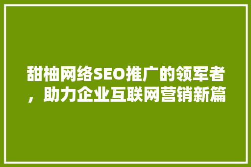 甜柚网络SEO推广的领军者，助力企业互联网营销新篇章
