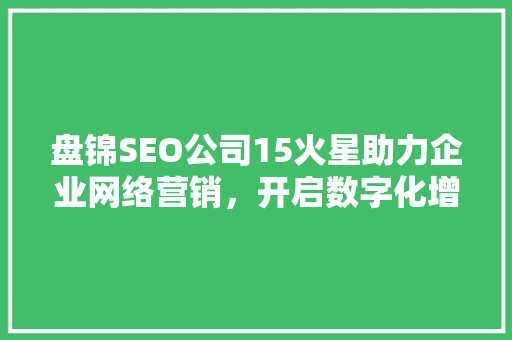 盘锦SEO公司15火星助力企业网络营销，开启数字化增长新篇章