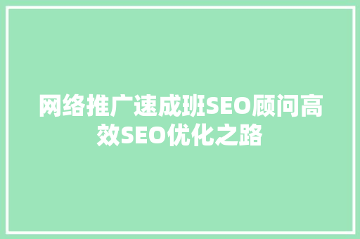 网络推广速成班SEO顾问高效SEO优化之路