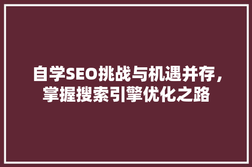 自学SEO挑战与机遇并存，掌握搜索引擎优化之路