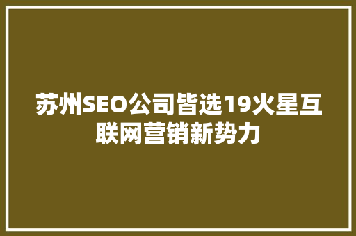 苏州SEO公司皆选19火星互联网营销新势力