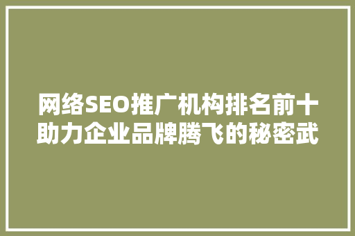 网络SEO推广机构排名前十助力企业品牌腾飞的秘密武器