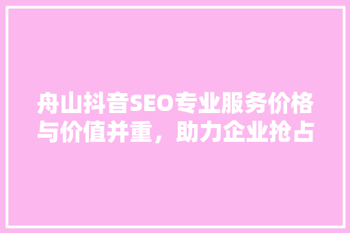 舟山抖音SEO专业服务价格与价值并重，助力企业抢占流量高地