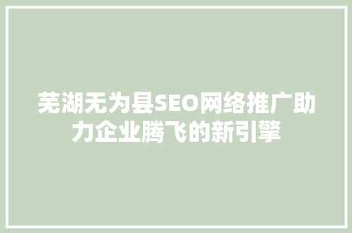 芜湖无为县SEO网络推广助力企业腾飞的新引擎