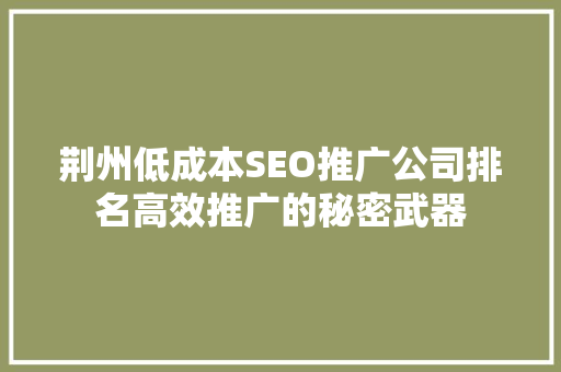 荆州低成本SEO推广公司排名高效推广的秘密武器