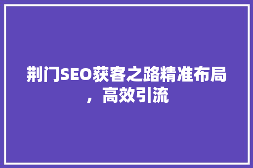 荆门SEO获客之路精准布局，高效引流