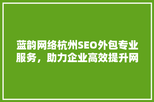 蓝韵网络杭州SEO外包专业服务，助力企业高效提升网络排名