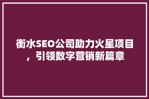 衡水SEO公司助力火星项目，引领数字营销新篇章