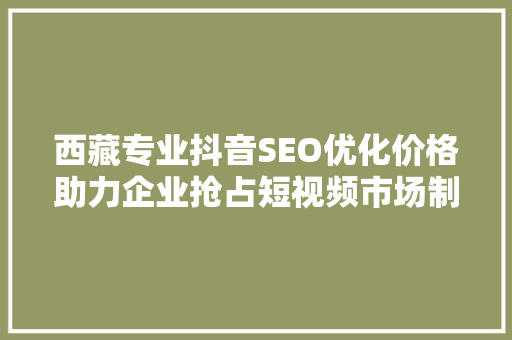 西藏专业抖音SEO优化价格助力企业抢占短视频市场制高点