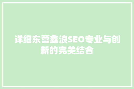 详细东营鑫浪SEO专业与创新的完美结合