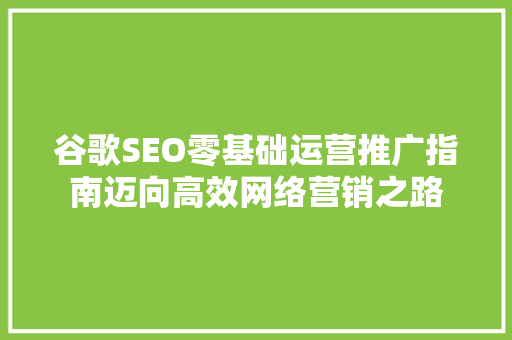 谷歌SEO零基础运营推广指南迈向高效网络营销之路