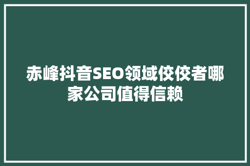 赤峰抖音SEO领域佼佼者哪家公司值得信赖