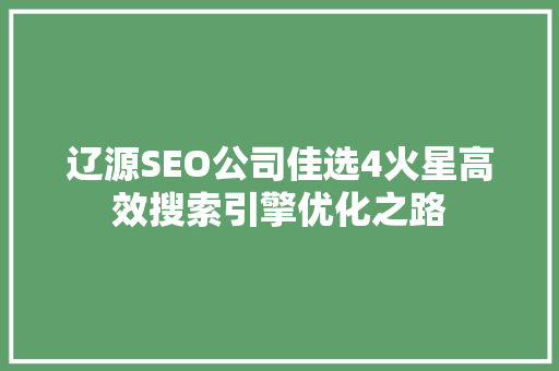 辽源SEO公司佳选4火星高效搜索引擎优化之路