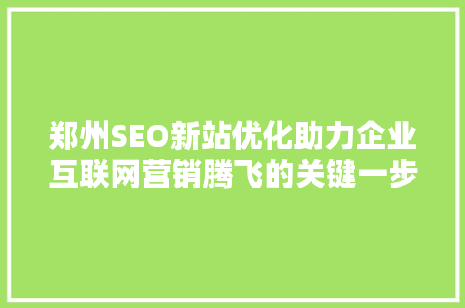 郑州SEO新站优化助力企业互联网营销腾飞的关键一步