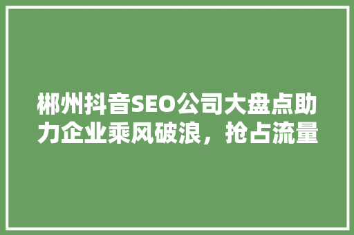 郴州抖音SEO公司大盘点助力企业乘风破浪，抢占流量高地