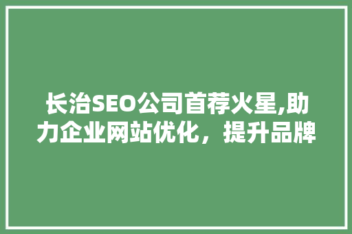 长治SEO公司首荐火星,助力企业网站优化，提升品牌影响力