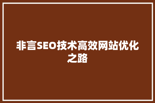非言SEO技术高效网站优化之路
