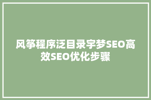 风筝程序泛目录宇梦SEO高效SEO优化步骤