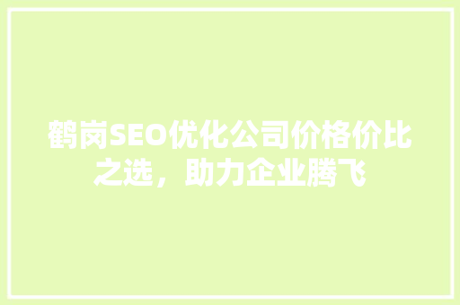 鹤岗SEO优化公司价格价比之选，助力企业腾飞