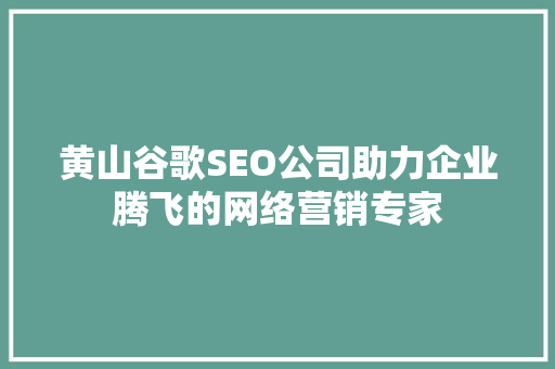 黄山谷歌SEO公司助力企业腾飞的网络营销专家