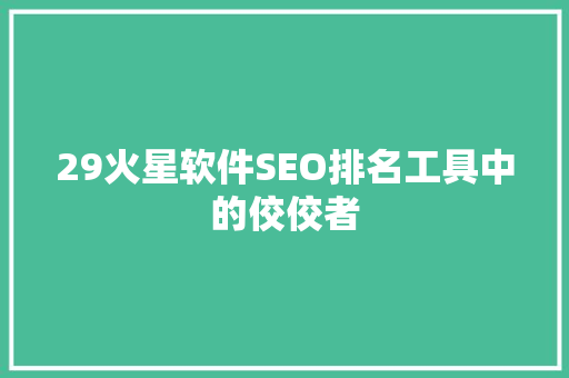 29火星软件SEO排名工具中的佼佼者