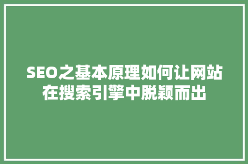 SEO之基本原理如何让网站在搜索引擎中脱颖而出