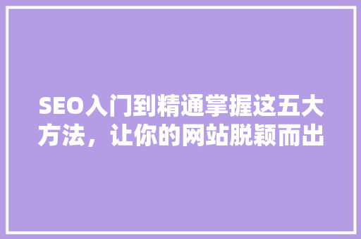 SEO入门到精通掌握这五大方法，让你的网站脱颖而出