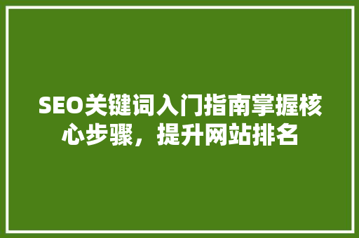 SEO关键词入门指南掌握核心步骤，提升网站排名