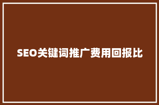 SEO关键词推广费用回报比